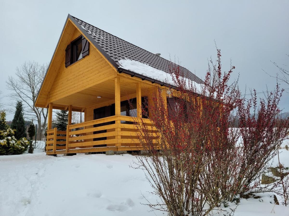 Caloroczne Z Kominkiem - Skala I Glaz Chalet